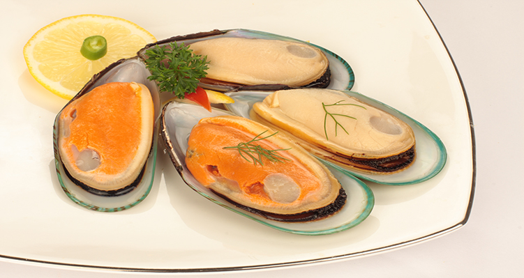 frozen half shell mussels